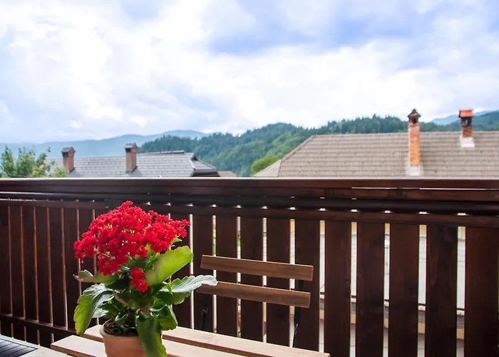 Little Oasis Apartament